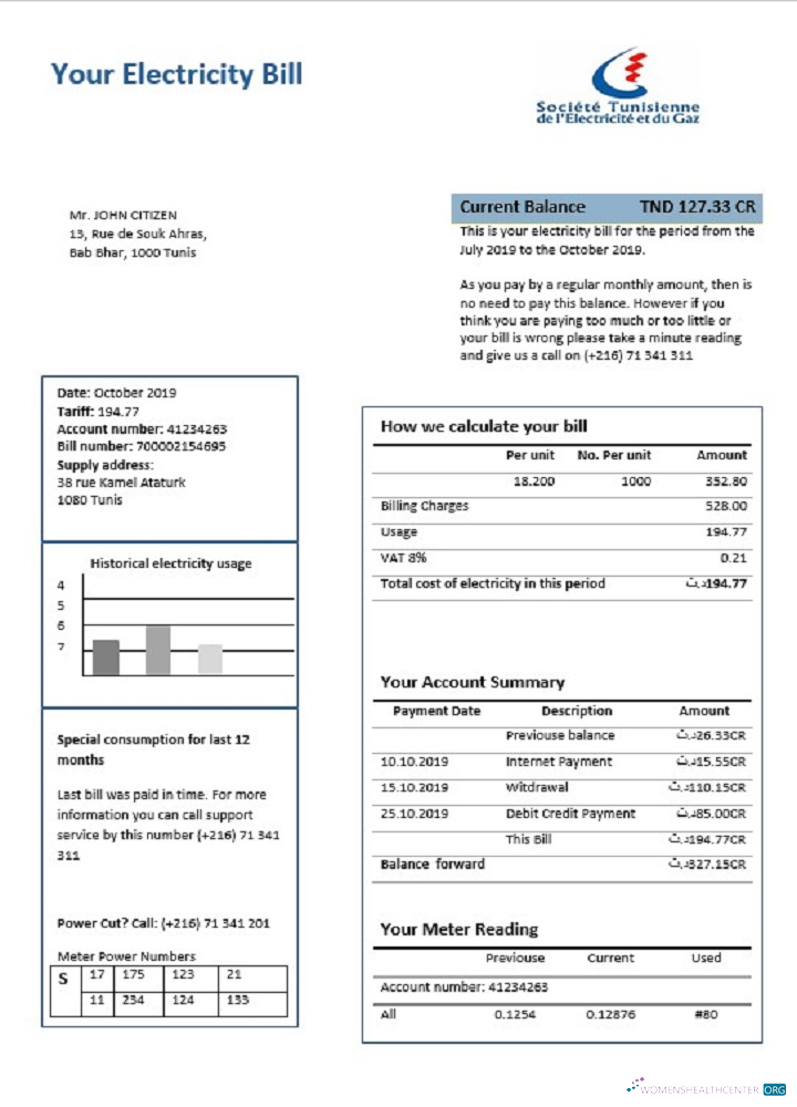 download Tunisia electricity proof of address utility bill template in Word and PDF format PDF template